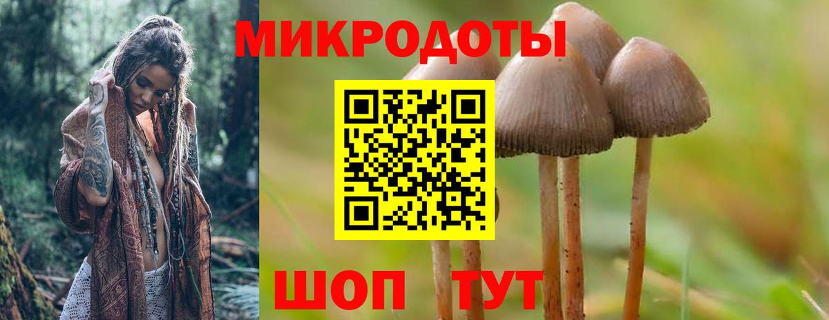 Галлюциногенные грибы прущие грибы Муравленко