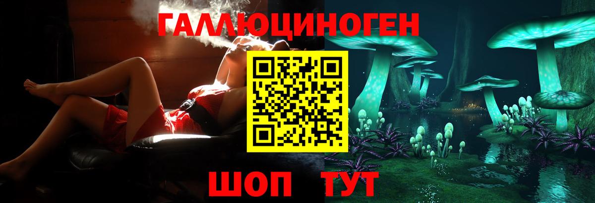 Псилоцибиновые грибы Magic Shrooms  закладка  Муравленко  Вход с VPN  Псилоцибиновые грибы мухоморы 